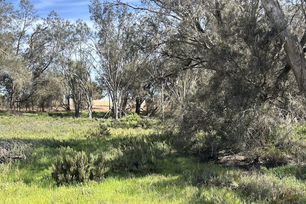 Lot 21 Morrell Road, Arthur River, WA, 6315 - Image 2