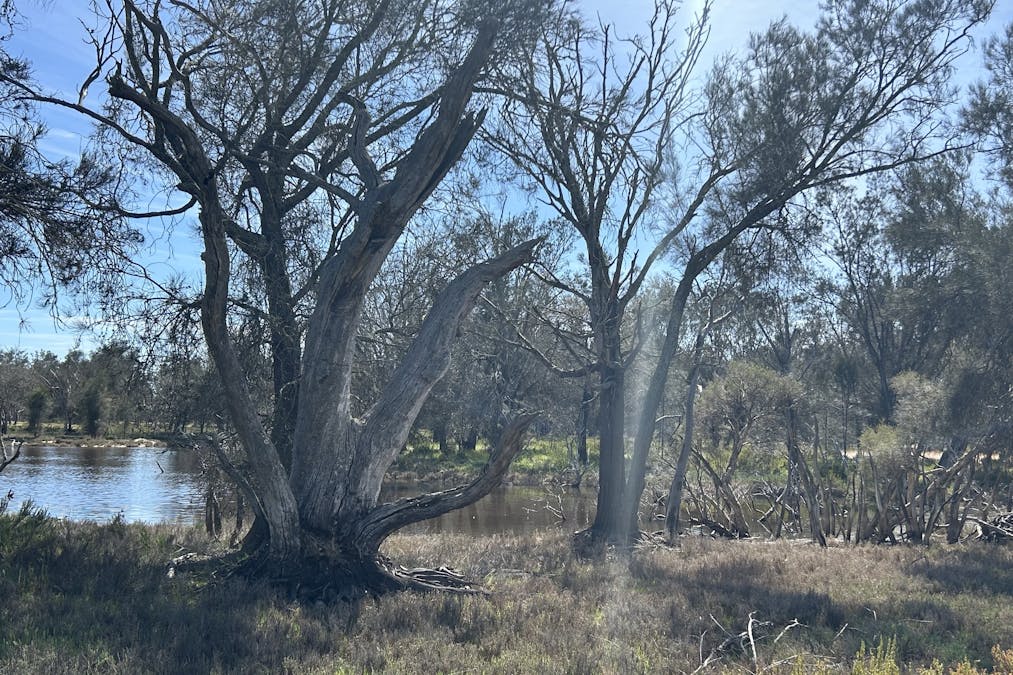 Lot 21 Morrell Road, Arthur River, WA, 6315 - Image 8