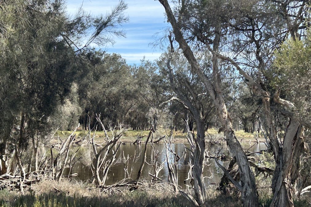 Lot 21 Morrell Road, Arthur River, WA, 6315 - Image 9