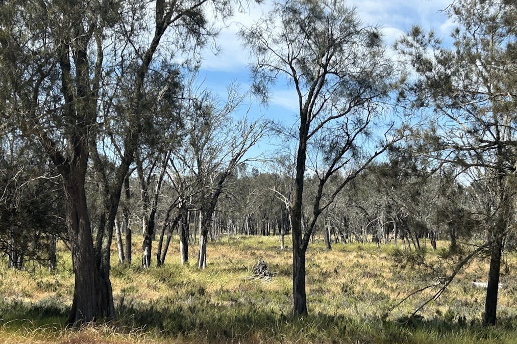 Lot 21 Morrell Road, Arthur River, WA, 6315 - Image 10