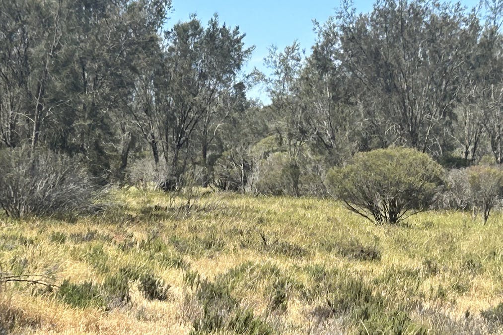 Lot 21 Morrell Road, Arthur River, WA, 6315 - Image 11