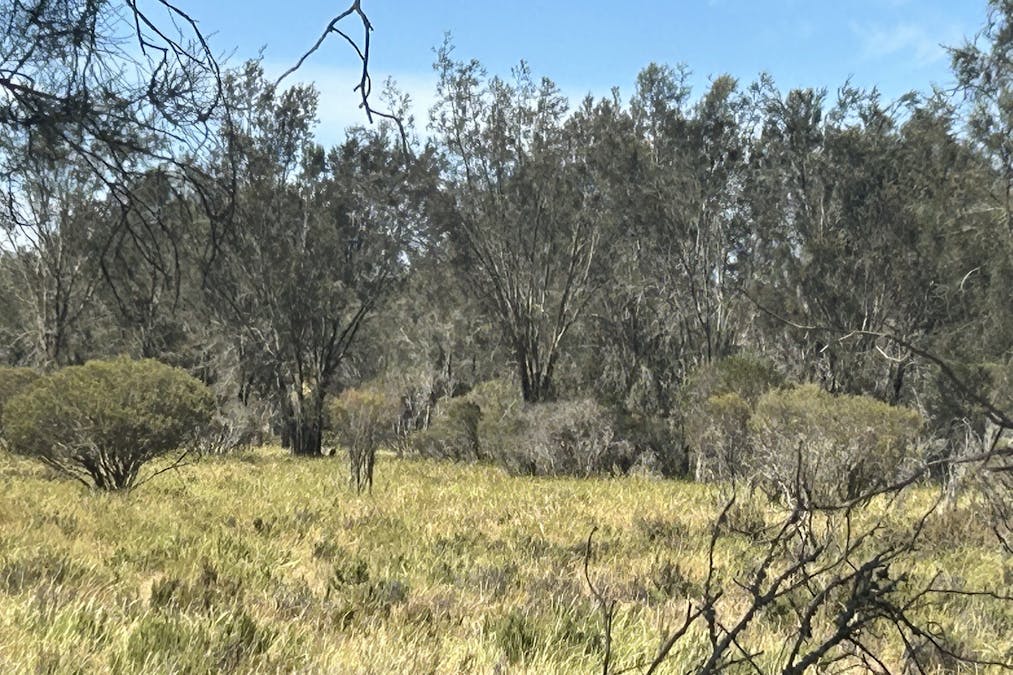 Lot 21 Morrell Road, Arthur River, WA, 6315 - Image 12