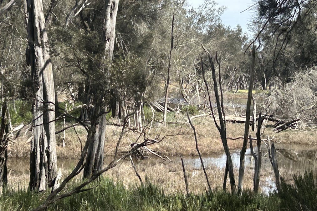 Lot 21 Morrell Road, Arthur River, WA, 6315 - Image 13