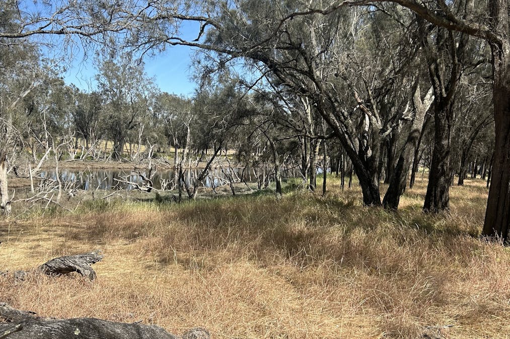 Lot 21 Morrell Road, Arthur River, WA, 6315 - Image 14