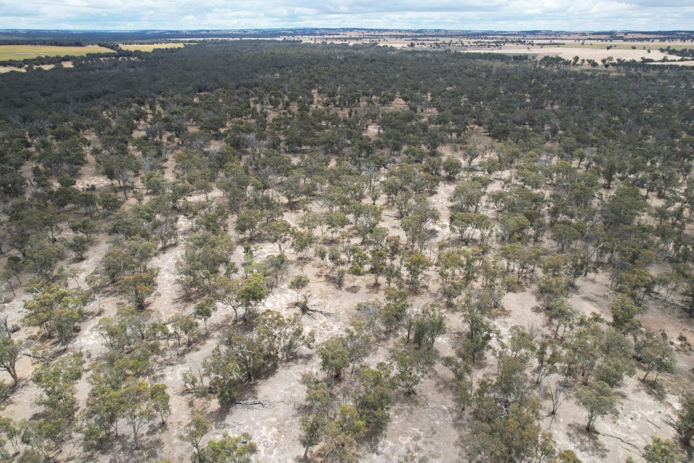 Lot 21 Morrell Road, Arthur River, WA, 6315 - Image 17