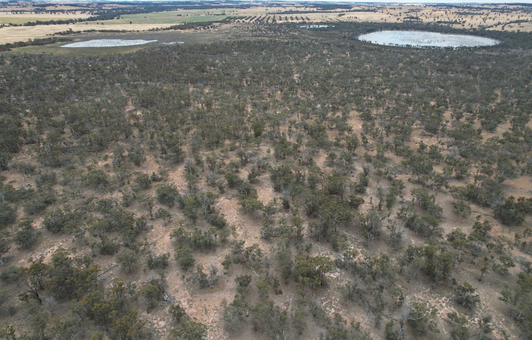 Lot 21 Morrell Road, Arthur River, WA, 6315 - Image 18