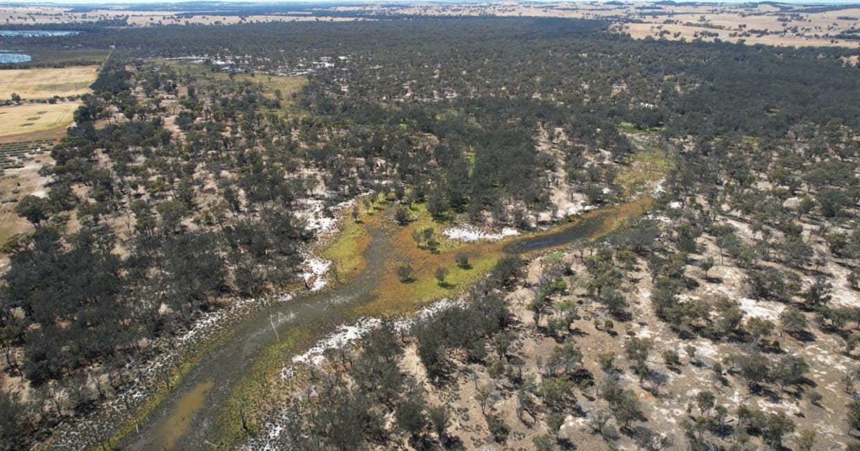 Lot 21 Morrell Road, Arthur River, WA, 6315 - Image 21