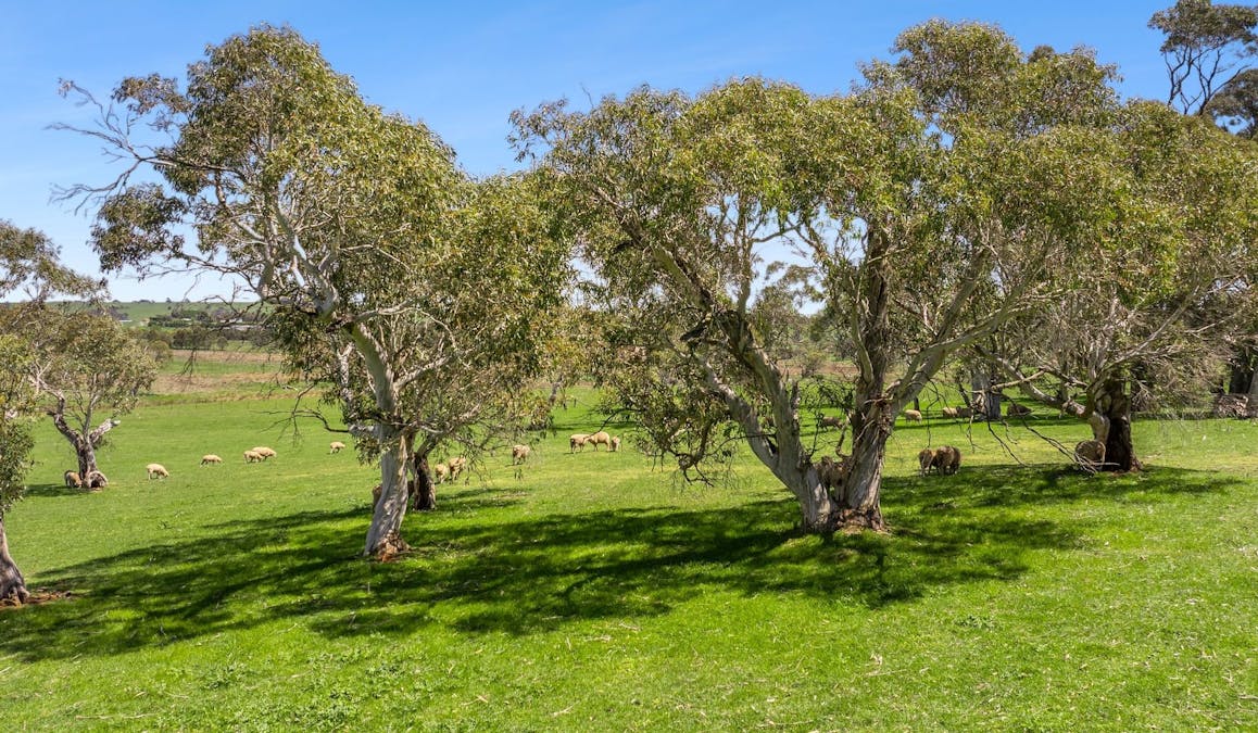 3446 Laggan Road, Crookwell, NSW, 2583 - Image 19