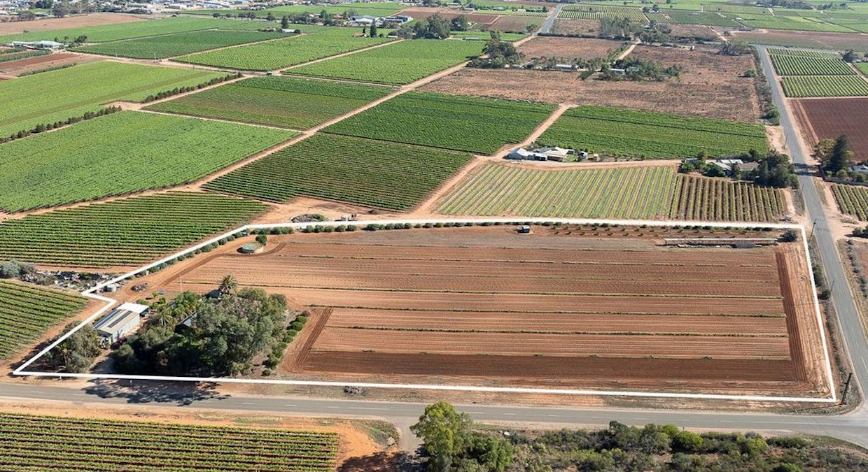 89 Dunstone Road, Barmera, SA, 5345 - Image 14