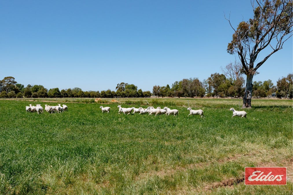 223 McSwains Road, Echuca, VIC, 3564 - Image 27