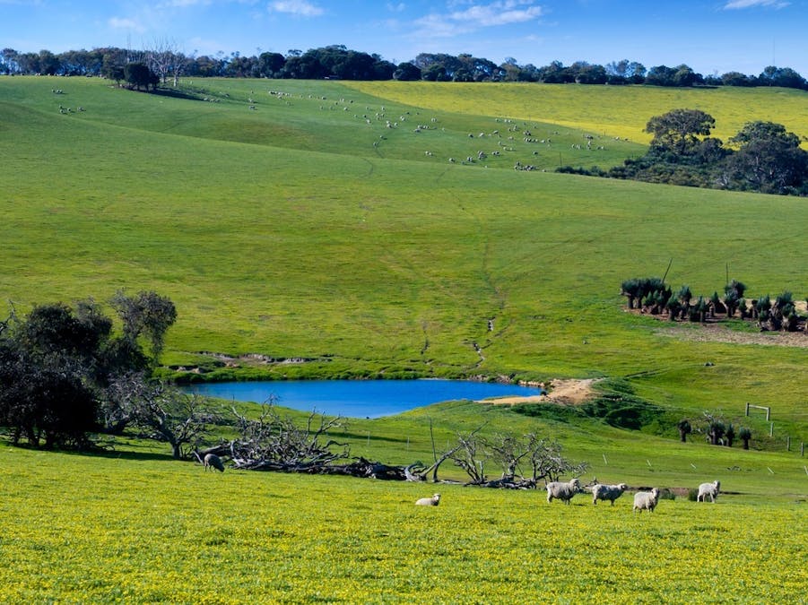 3487 North Coast Road, Cassini, SA, 5223 - Image 5