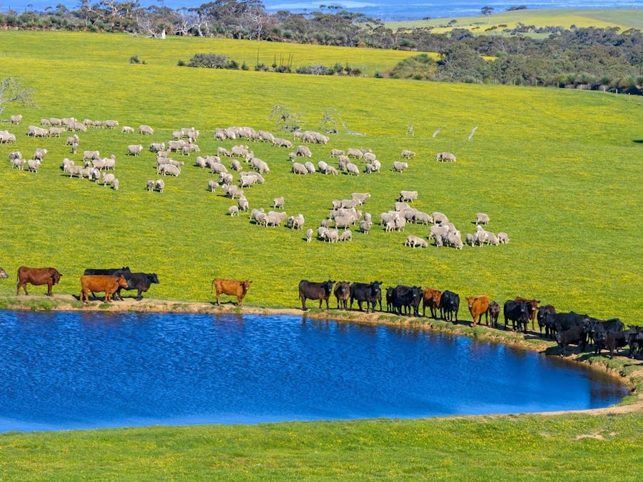 3487 North Coast Road, Cassini, SA, 5223 - Image 6