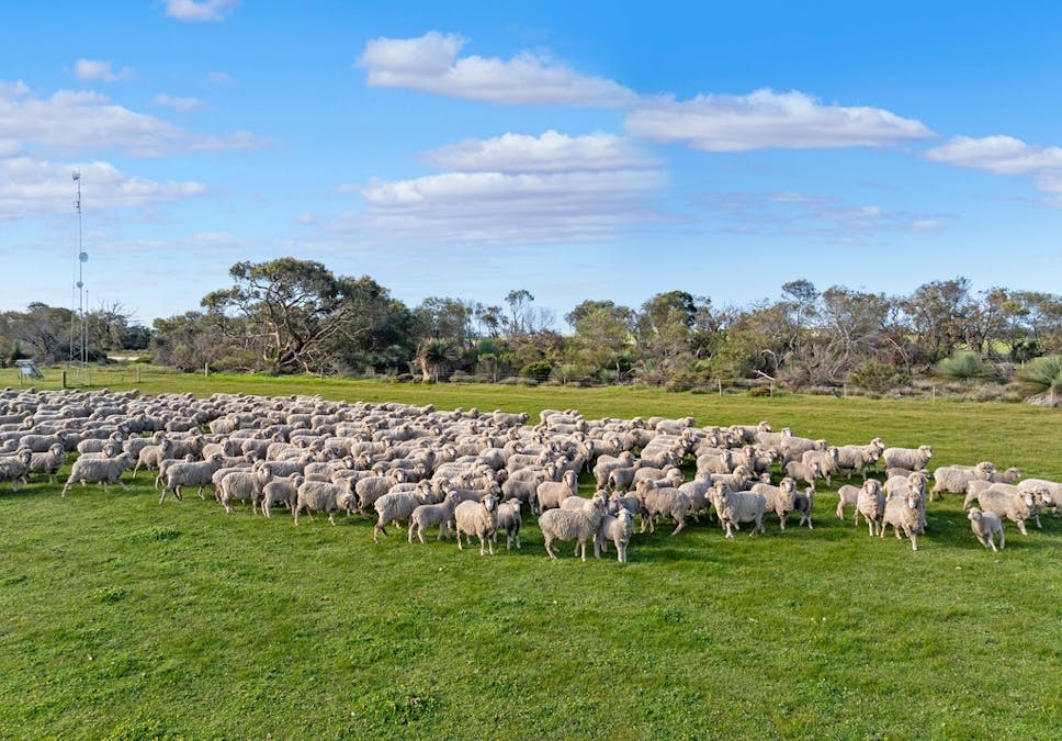 3487 North Coast Road, Cassini, SA, 5223 - Image 9