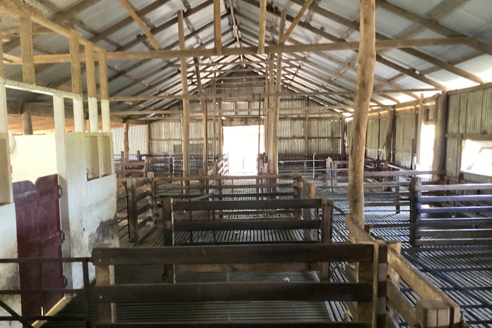 3487 North Coast Road, Cassini, SA, 5223 - Image 21