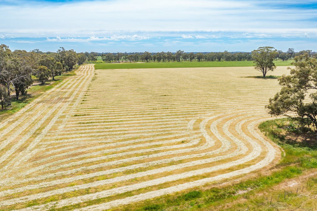 Lot 1 Boorhaman-Springhurst Road, Springhurst, VIC, 3682 - Image 2