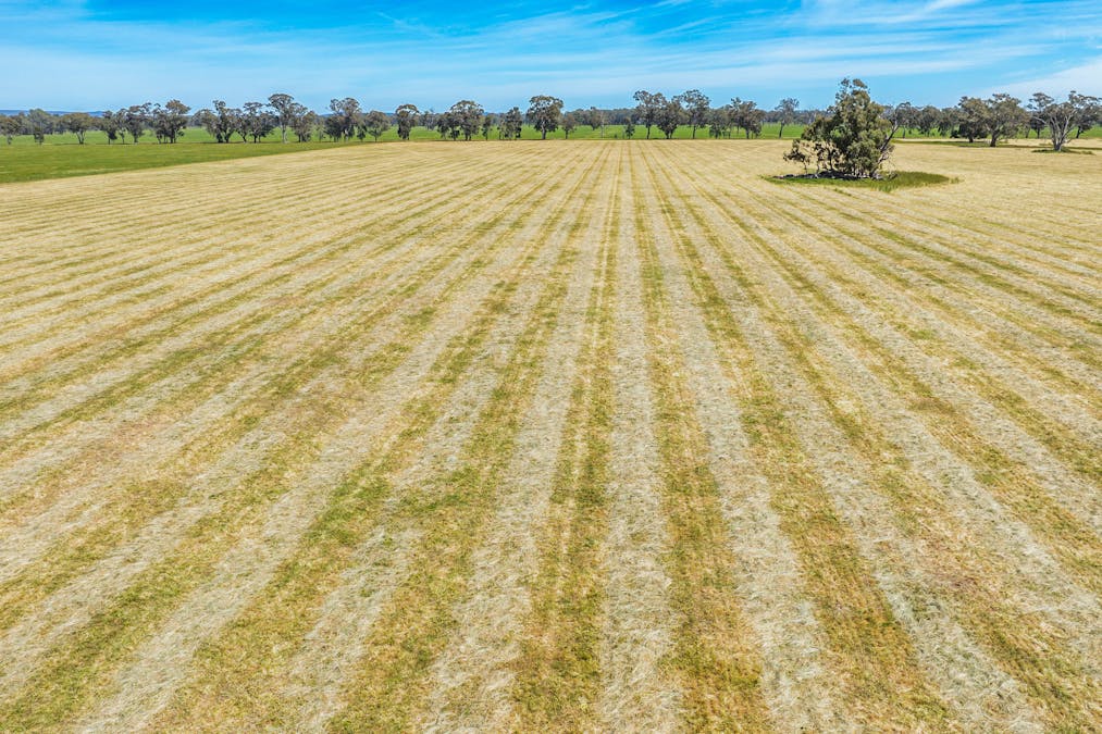 Lot 1 Boorhaman-Springhurst Road, Springhurst, VIC, 3682 - Image 18