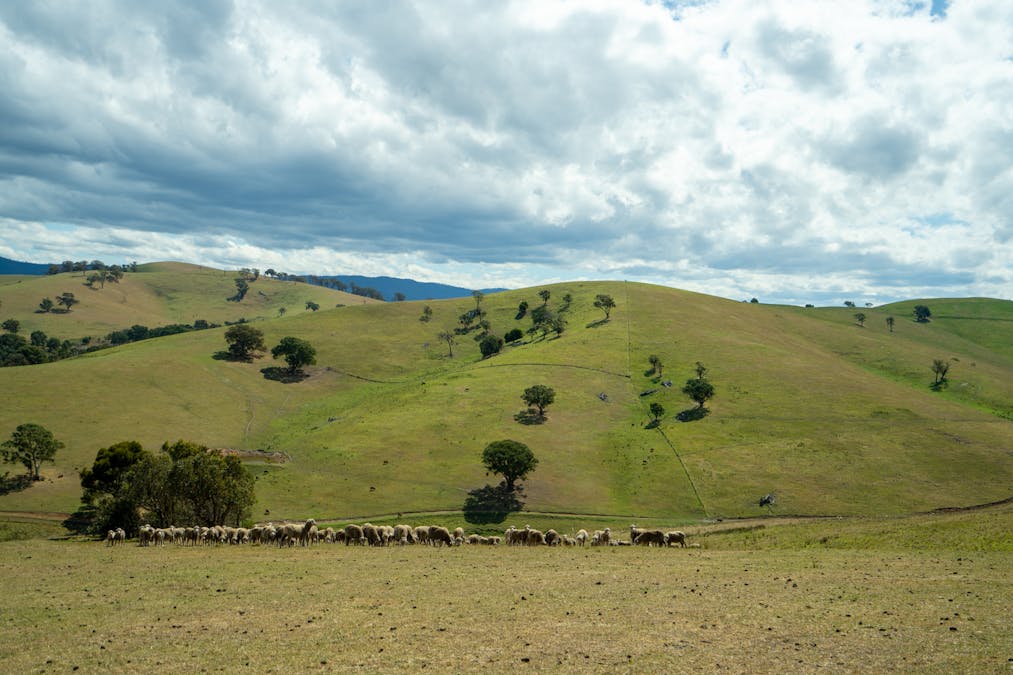 6 Scott Road, Ensay, VIC, 3895 - Image 17