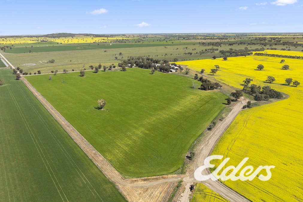 235 Clearview Road, Savernake, NSW, 2646 - Image 31