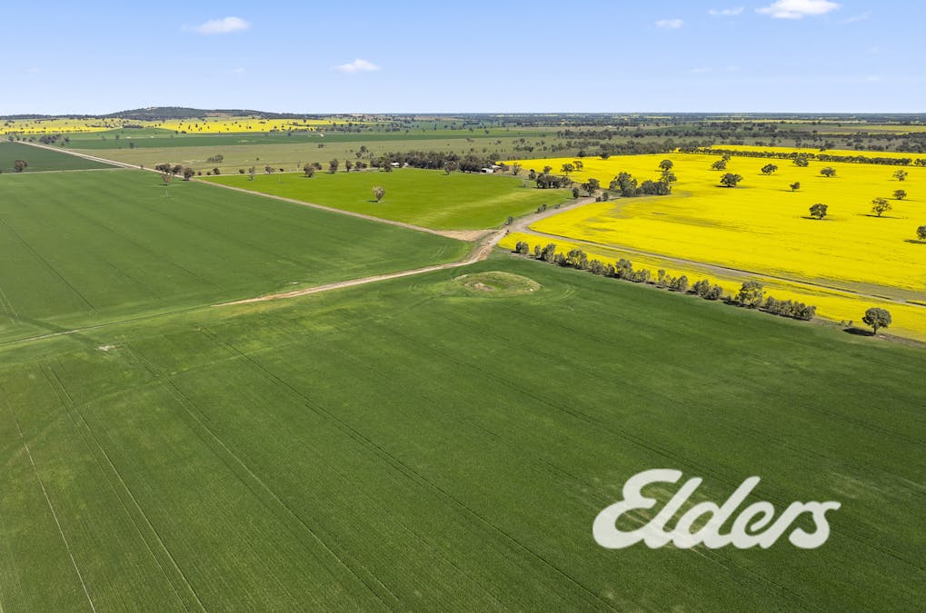 235 Clearview Road, Savernake, NSW, 2646 - Image 5