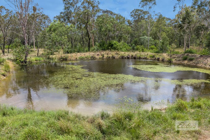 1195 Calliope River Road, West Stowe, QLD, 4680 - Image 1