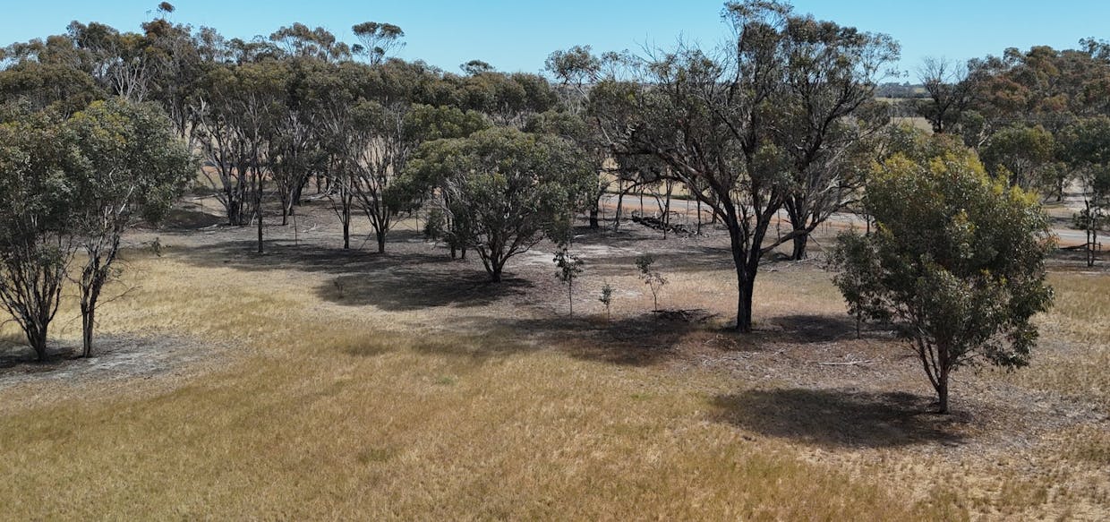 372/Broomehill-Kojonup Road, Broomehill Village, WA, 6318 - Image 12