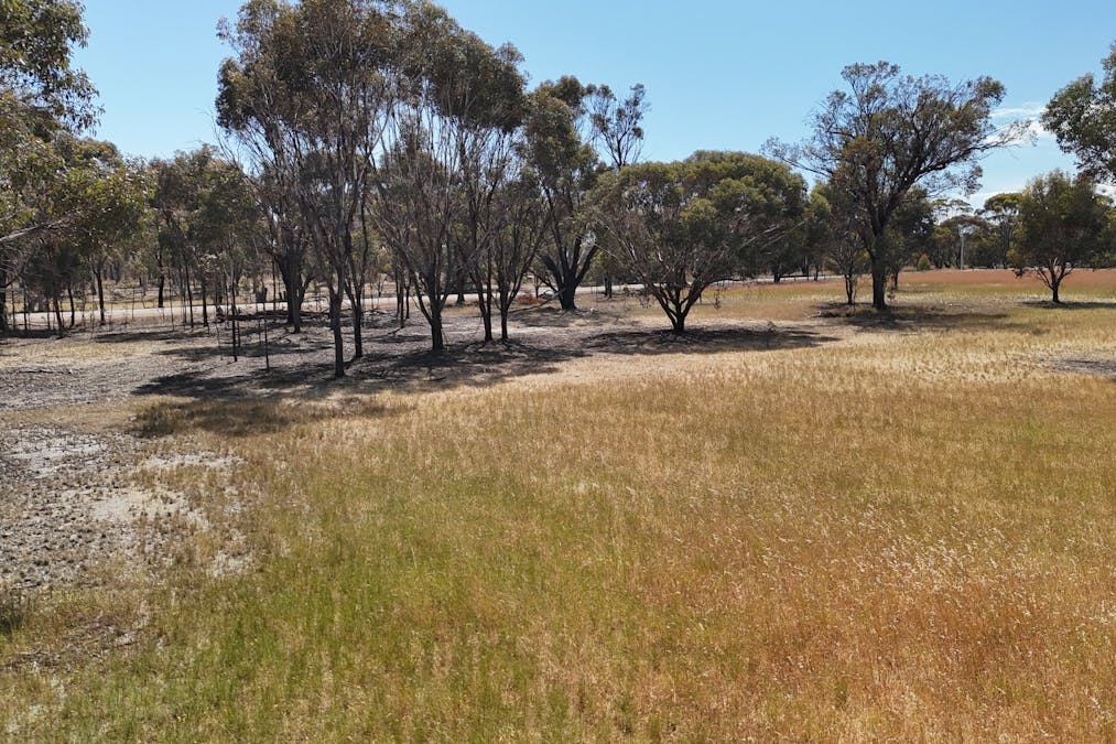 372/Broomehill-Kojonup Road, Broomehill Village, WA, 6318 - Image 15