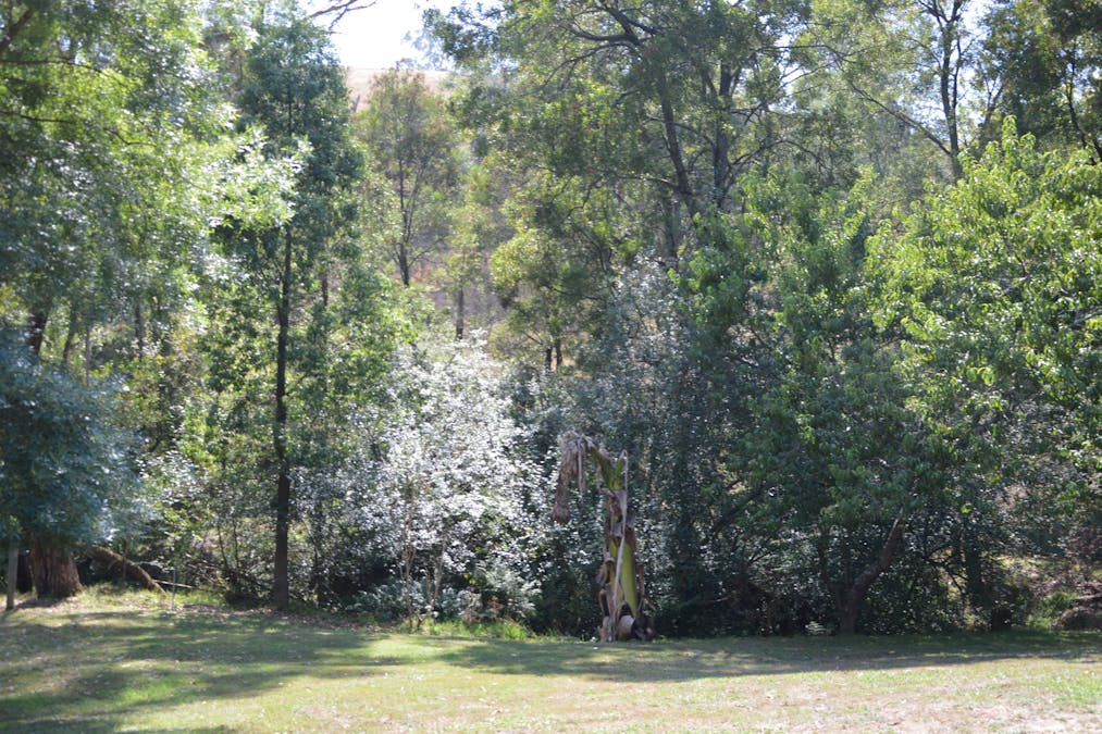 790 Soldiers Road, Poowong, VIC, 3988 - Image 10