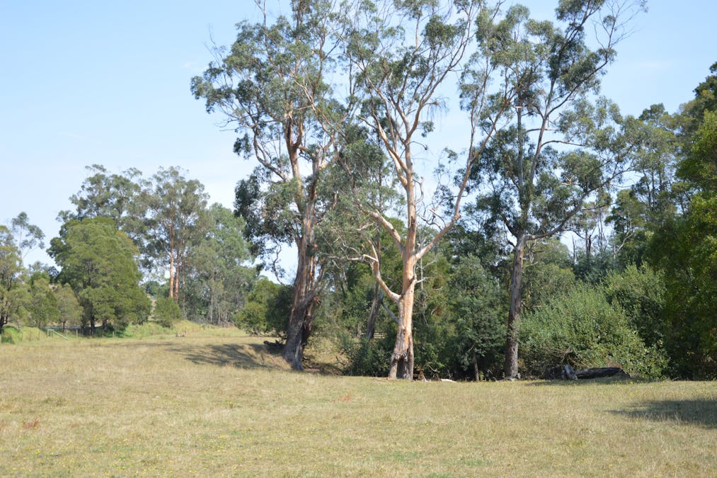 790 Soldiers Road, Poowong, VIC, 3988 - Image 17