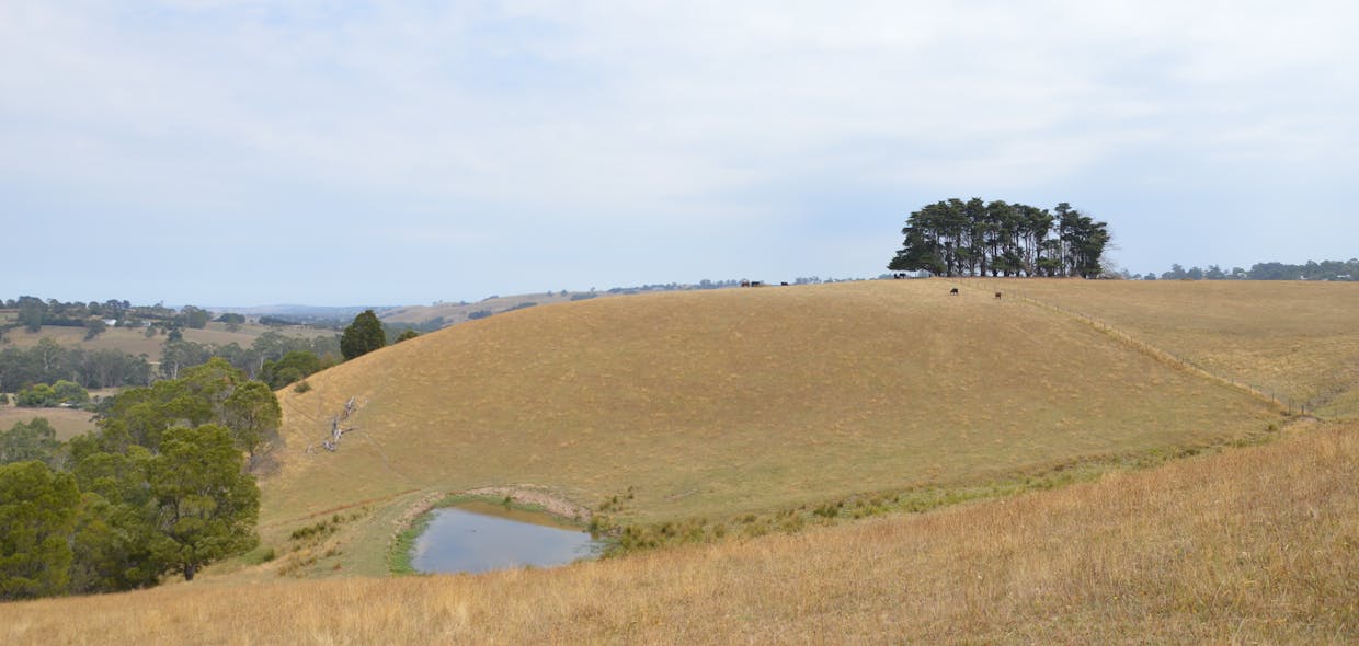 790 Soldiers Road, Poowong, VIC, 3988 - Image 15