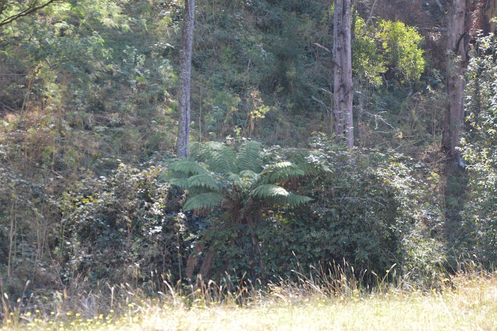 790 Soldiers Road, Poowong, VIC, 3988 - Image 19