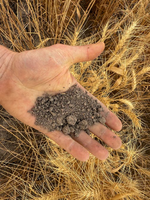 Almora 136 Murraiman Road, Teridgerie, NSW, 2829 - Image 13