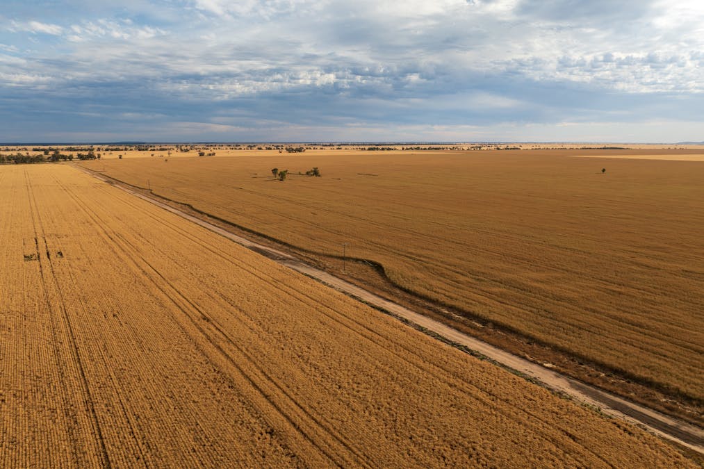 Almora 136 Murraiman Road, Teridgerie, NSW, 2829 - Image 23