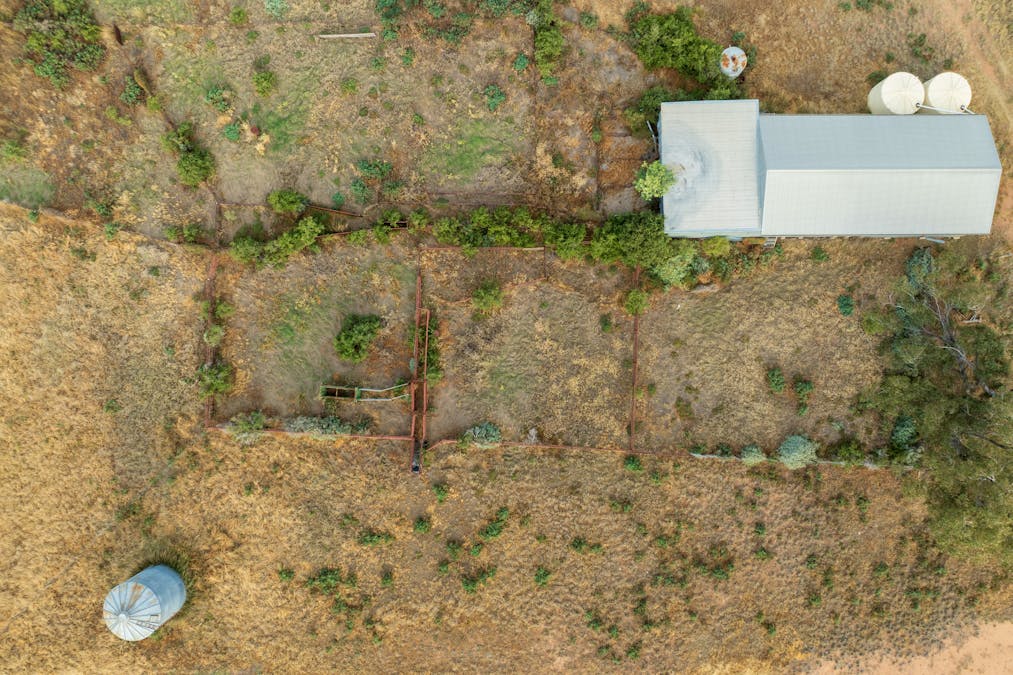 Almora 136 Murraiman Road, Teridgerie, NSW, 2829 - Image 33