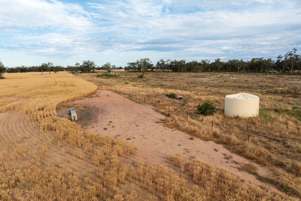 Almora 136 Murraiman Road, Teridgerie, NSW, 2829 - Image 34
