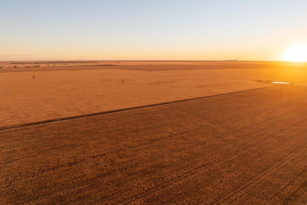 Almora 136 Murraiman Road, Teridgerie, NSW, 2829 - Image 1