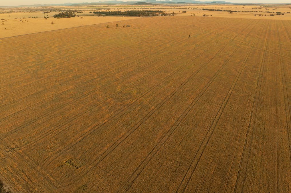 Almora 136 Murraiman Road, Teridgerie, NSW, 2829 - Image 17