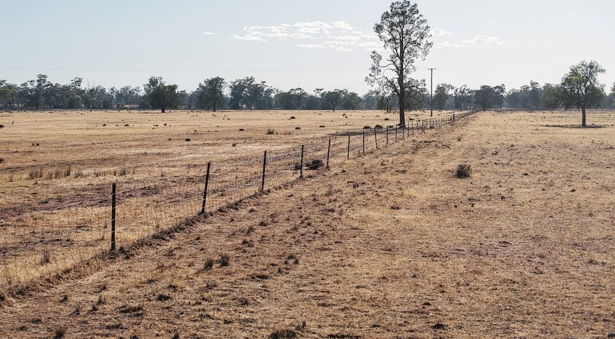 2633 Bruie Plains Road, Bruie Plains, NSW, 2875 - Image 10