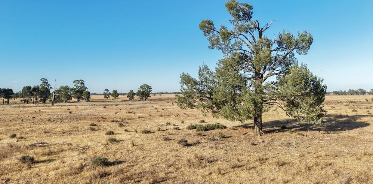 2633 Bruie Plains Road, Bruie Plains, NSW, 2875 - Image 11