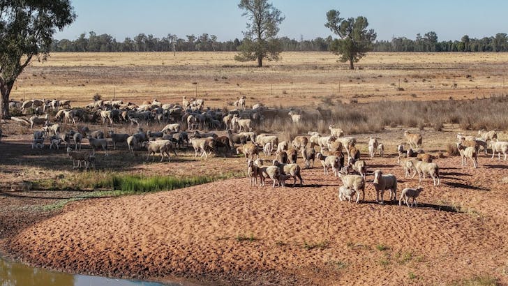 2633 Bruie Plains Road, Bruie Plains, NSW, 2875 - Image 1