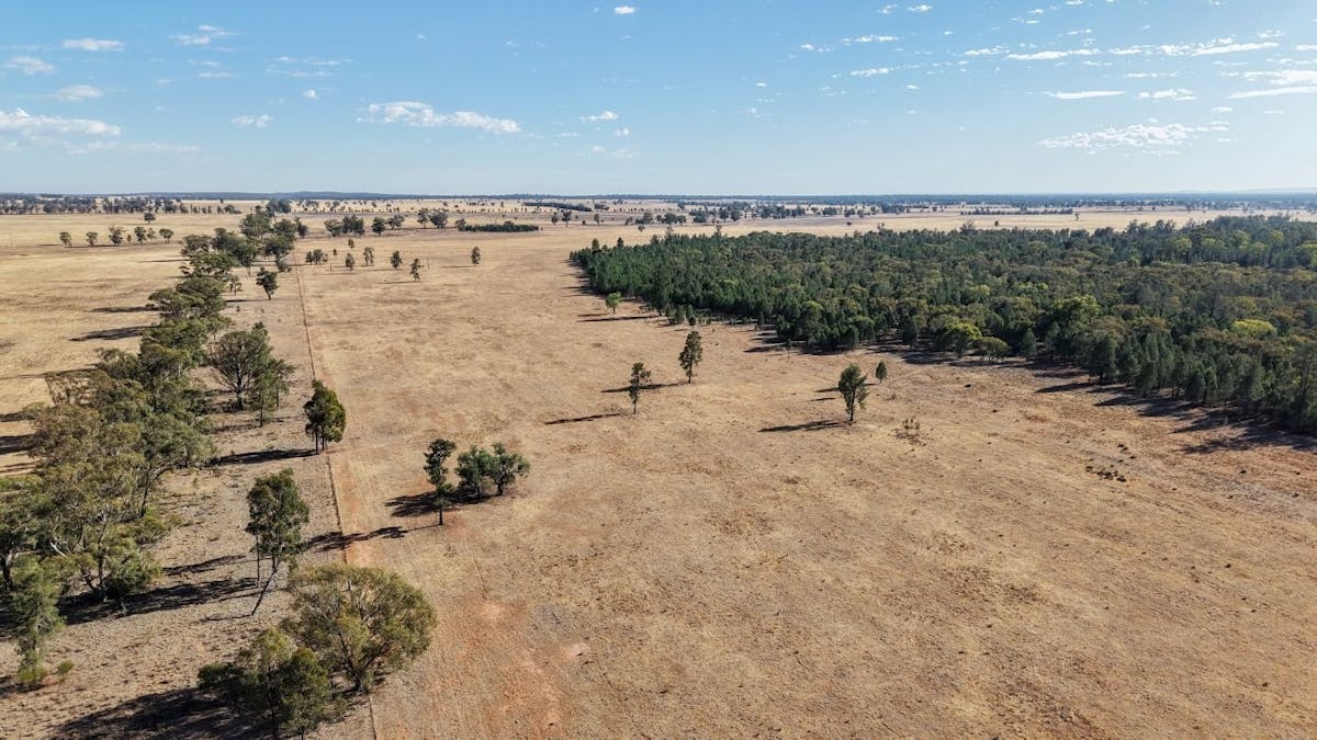 2633 Bruie Plains Road, Bruie Plains, NSW, 2875 - Image 17