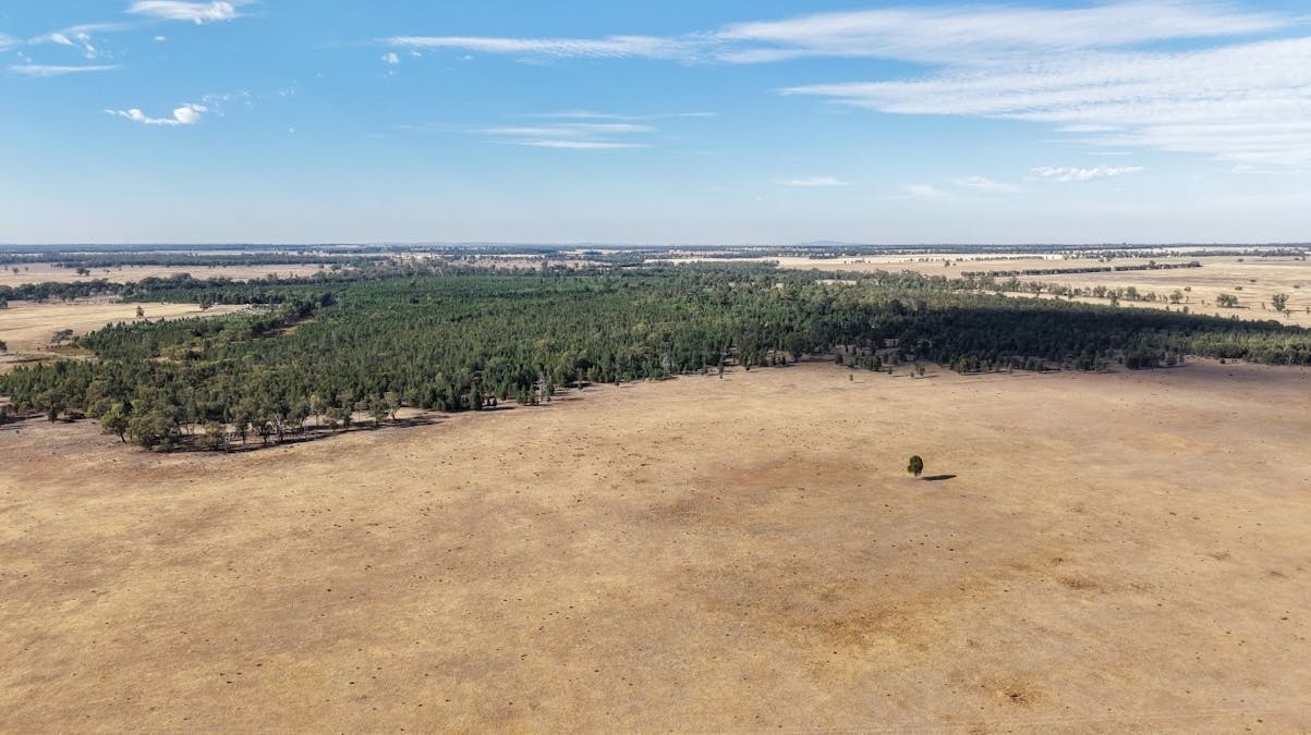 2633 Bruie Plains Road, Bruie Plains, NSW, 2875 - Image 18