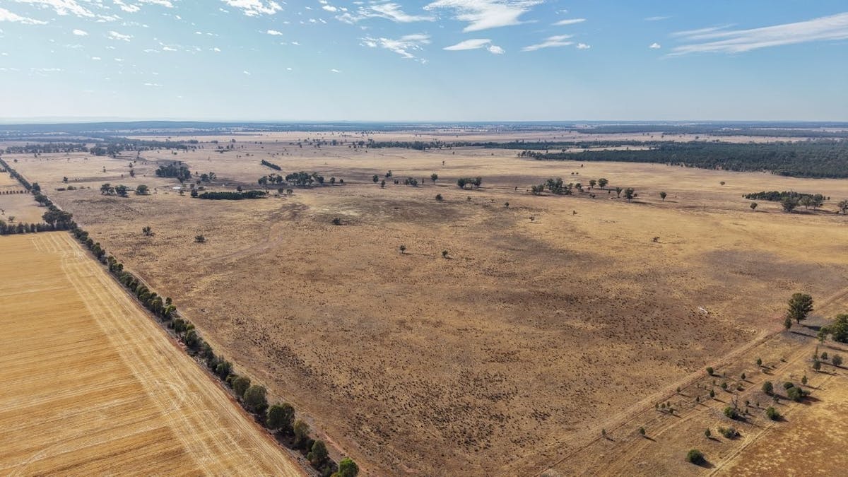 2633 Bruie Plains Road, Bruie Plains, NSW, 2875 - Image 4