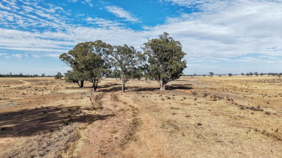 2633 Bruie Plains Road, Bruie Plains, NSW, 2875 - Image 20