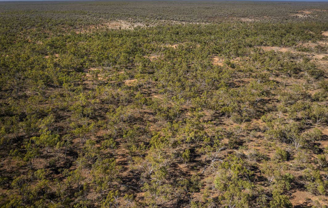 8283 Linden-Nebine Road, Nebine, QLD, 4488 - Image 2