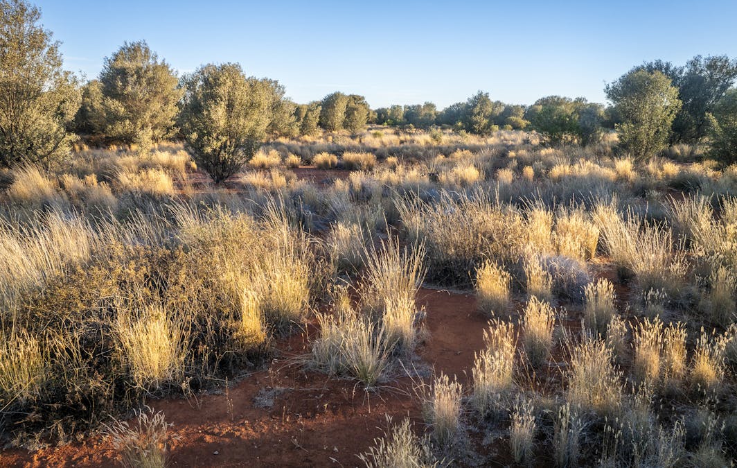 8283 Linden-Nebine Road, Nebine, QLD, 4488 - Image 3