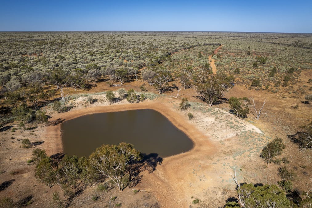 8283 Linden-Nebine Road, Nebine, QLD, 4488 - Image 5