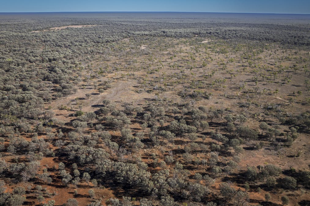 8283 Linden-Nebine Road, Nebine, QLD, 4488 - Image 7