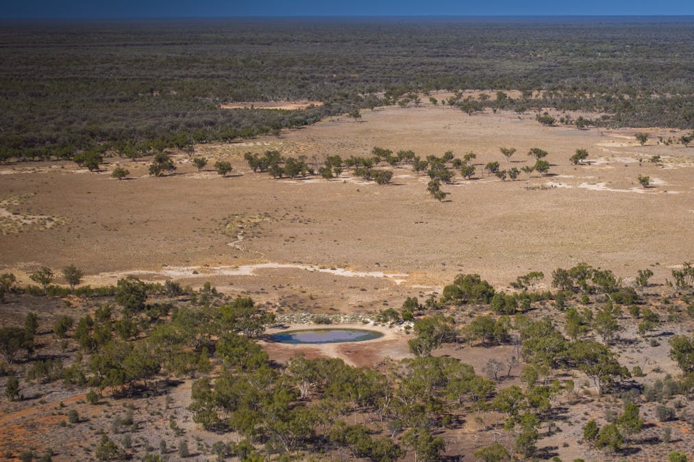 8283 Linden-Nebine Road, Nebine, QLD, 4488 - Image 9