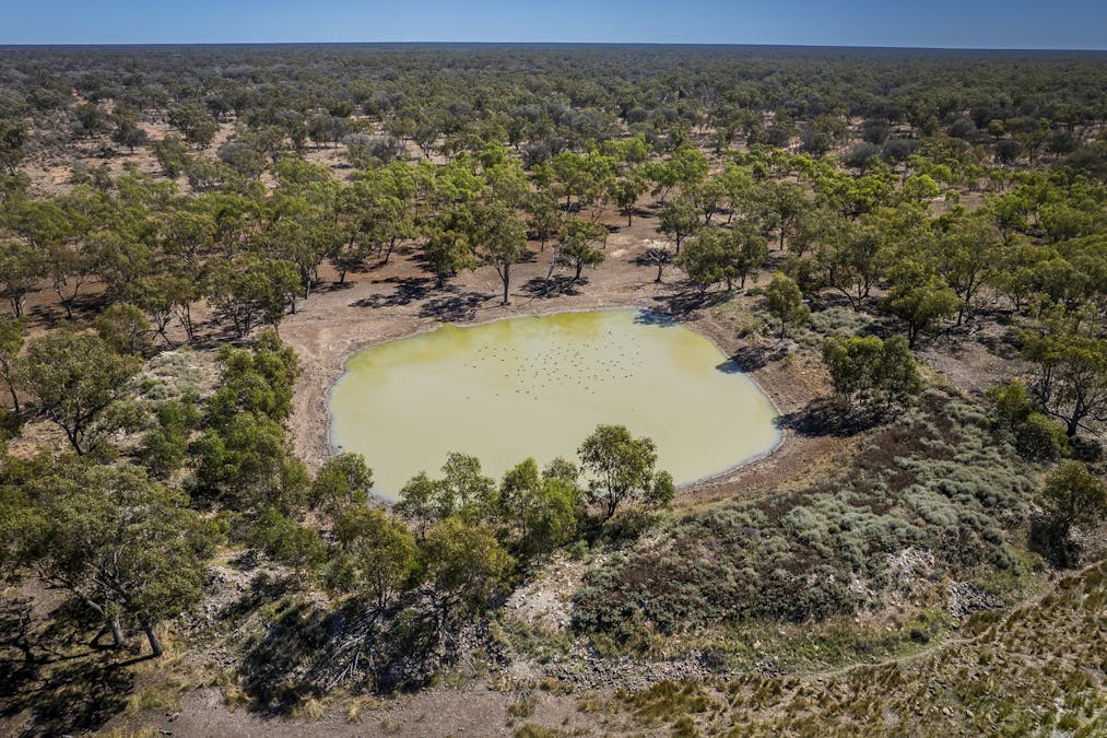 8283 Linden-Nebine Road, Nebine, QLD, 4488 - Image 12