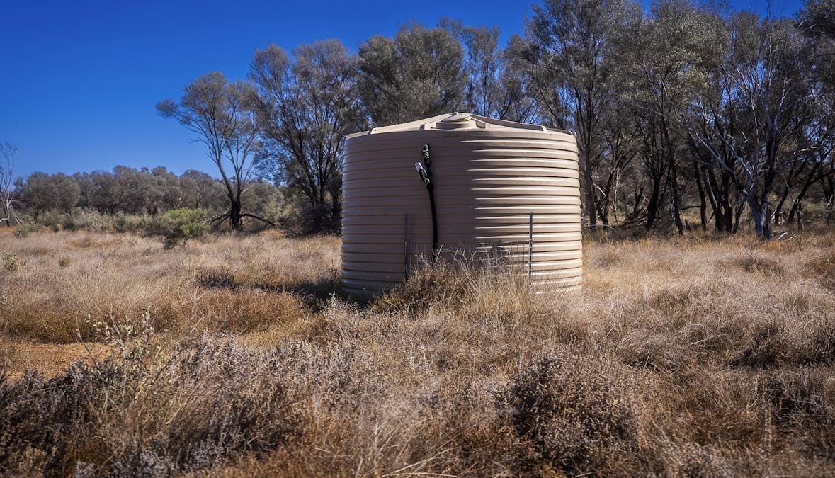 8283 Linden-Nebine Road, Nebine, QLD, 4488 - Image 13